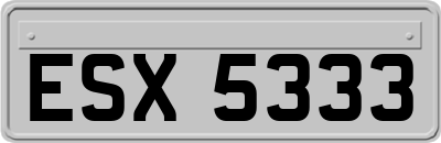 ESX5333