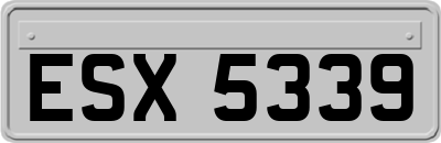 ESX5339