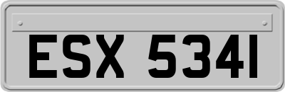 ESX5341