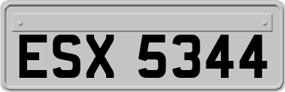 ESX5344