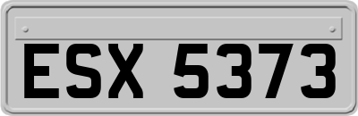 ESX5373