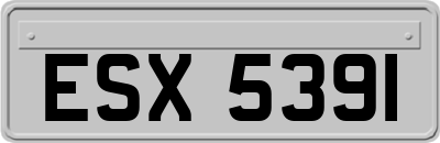 ESX5391