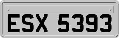ESX5393