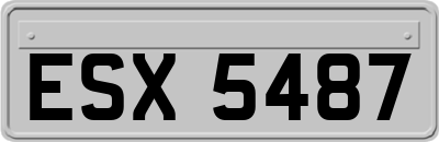 ESX5487