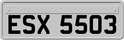 ESX5503