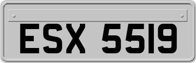 ESX5519