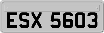 ESX5603