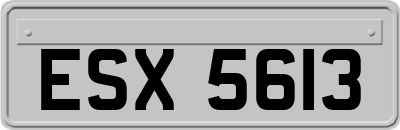 ESX5613