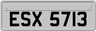 ESX5713