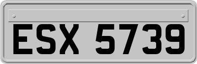 ESX5739