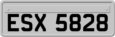 ESX5828