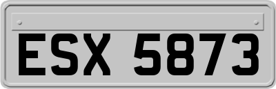 ESX5873