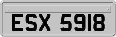 ESX5918