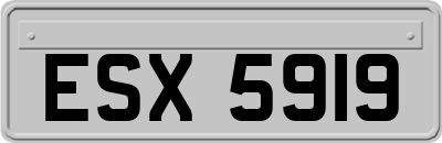 ESX5919