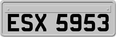 ESX5953