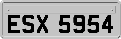 ESX5954