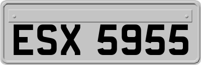 ESX5955