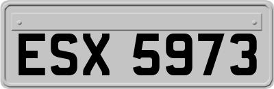 ESX5973