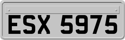 ESX5975