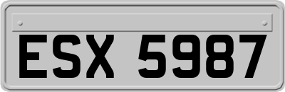 ESX5987