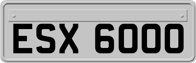 ESX6000