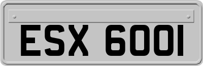 ESX6001