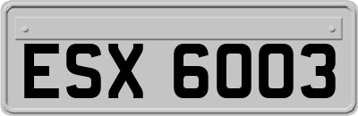 ESX6003