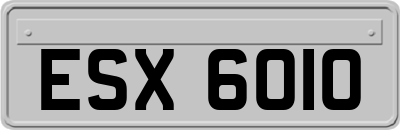 ESX6010