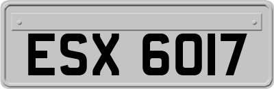 ESX6017