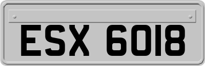 ESX6018