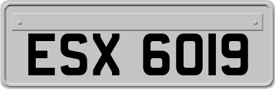 ESX6019