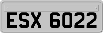ESX6022