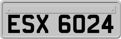 ESX6024