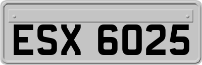 ESX6025