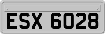 ESX6028