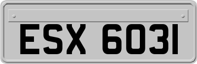 ESX6031