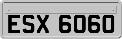 ESX6060