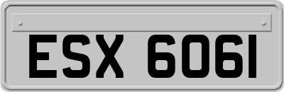 ESX6061