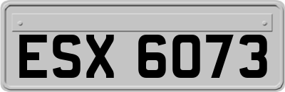 ESX6073