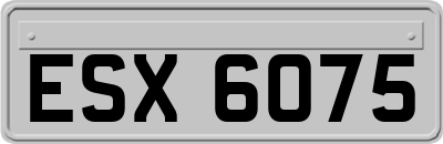 ESX6075