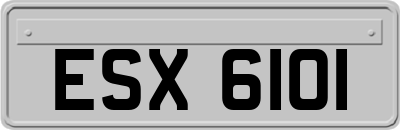 ESX6101