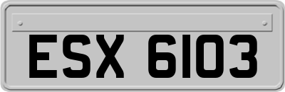 ESX6103