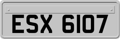 ESX6107