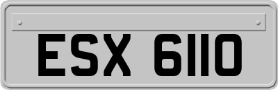 ESX6110