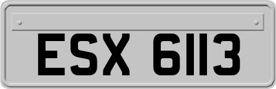 ESX6113