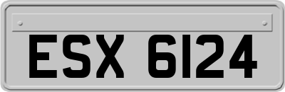 ESX6124