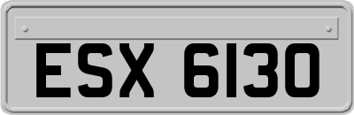 ESX6130