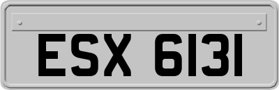 ESX6131