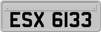 ESX6133