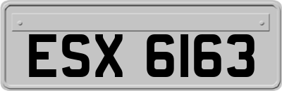ESX6163